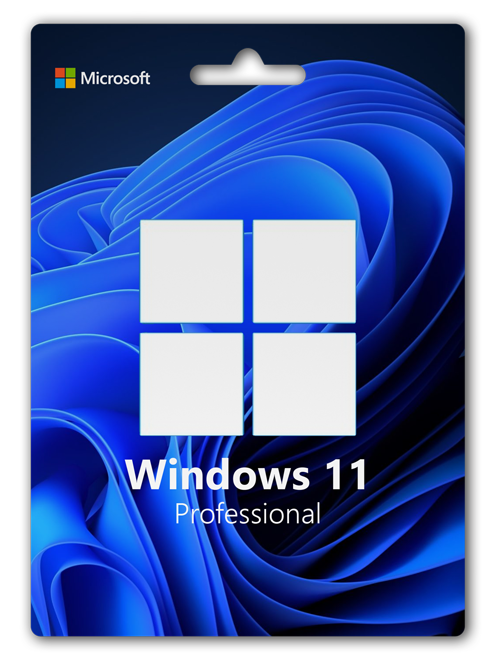 SOFTWARE - WINDOWS 11 PRO KEY